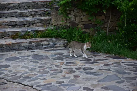 Скульптури