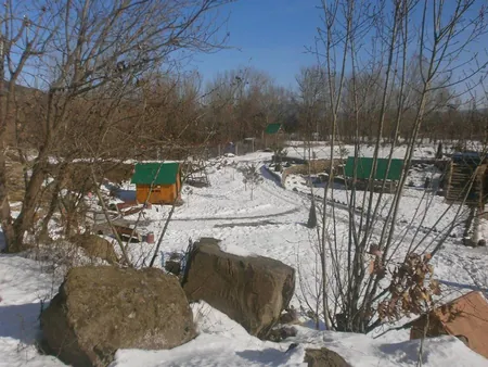 Зима на Чорній Горі